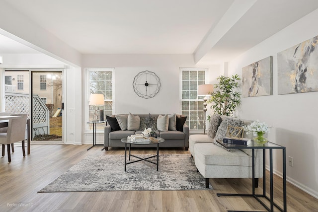 living room with baseboards and wood finished floors