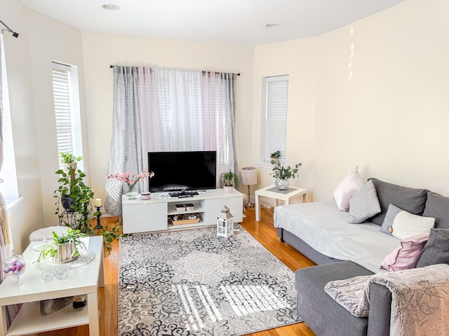 living room featuring wood finished floors