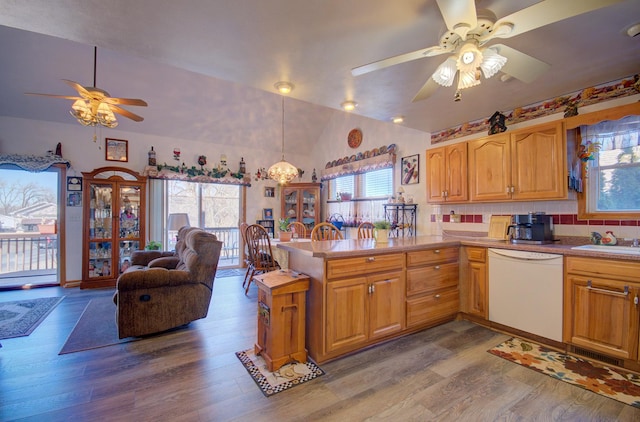 kitchen with dishwasher, ceiling fan, lofted ceiling, dark wood-style flooring, and open floor plan