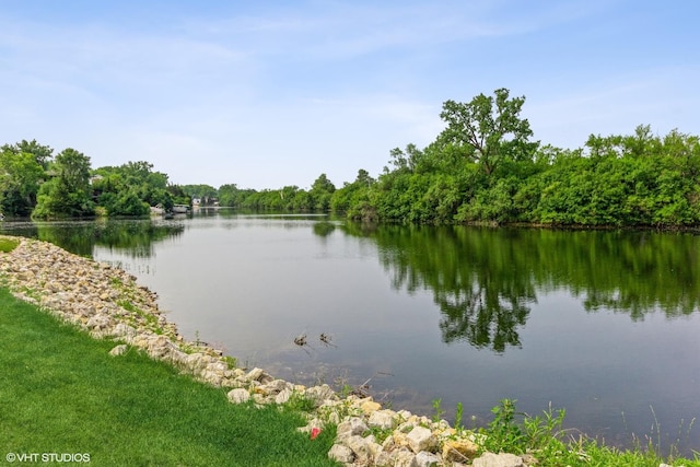 water view featuring a forest