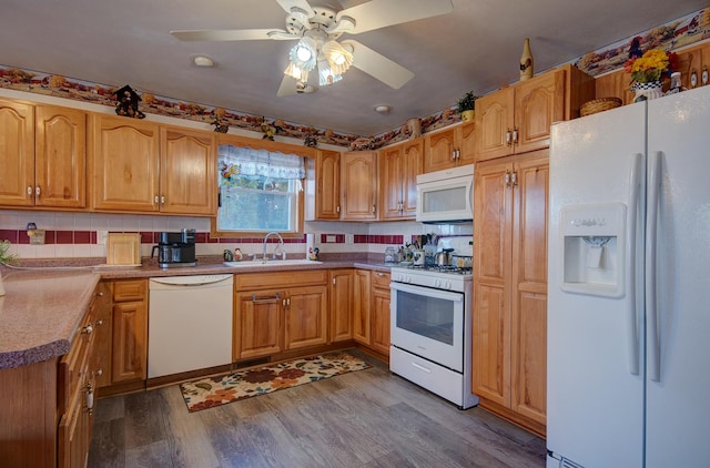 kitchen featuring white appliances, a sink, dark wood-style flooring, ceiling fan, and tasteful backsplash