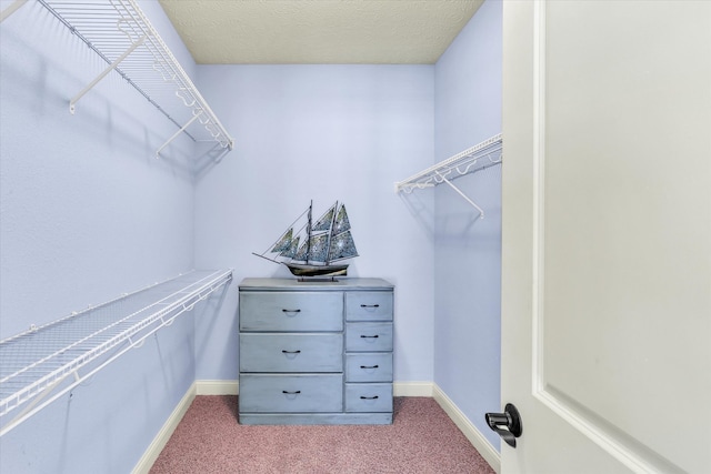 spacious closet with carpet floors