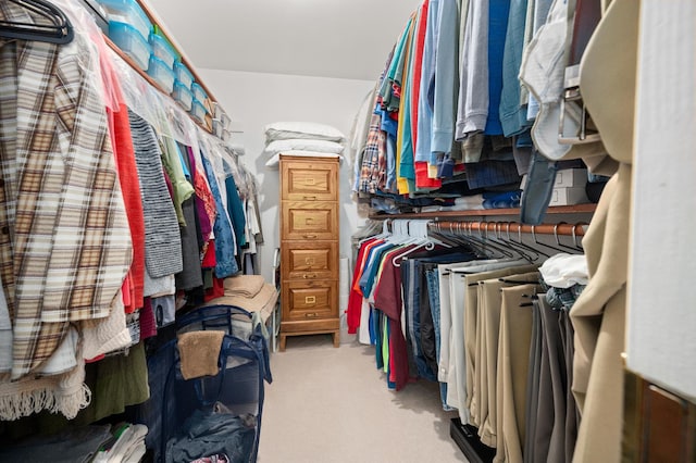 walk in closet with carpet flooring