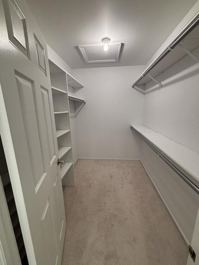 spacious closet with carpet and attic access