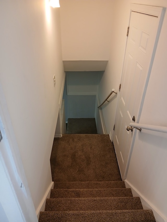 stairway featuring carpet floors