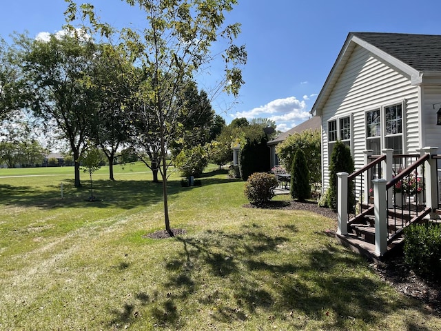 13731 S Tamarack Dr, Plainfield, IL 60544 - view of yard