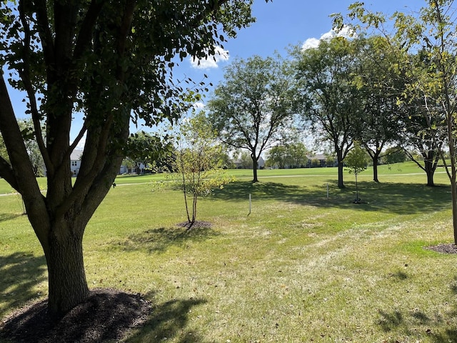 13731 S Tamarack Dr, Plainfield, IL 60544 - view of yard