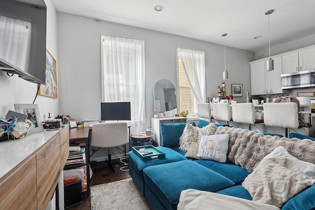 living area featuring wood finished floors