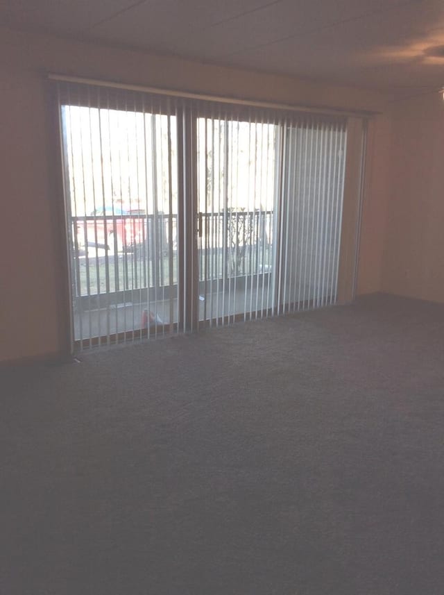 unfurnished room featuring carpet flooring