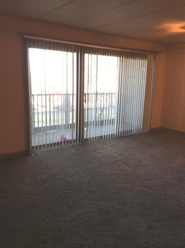 carpeted empty room featuring a wealth of natural light