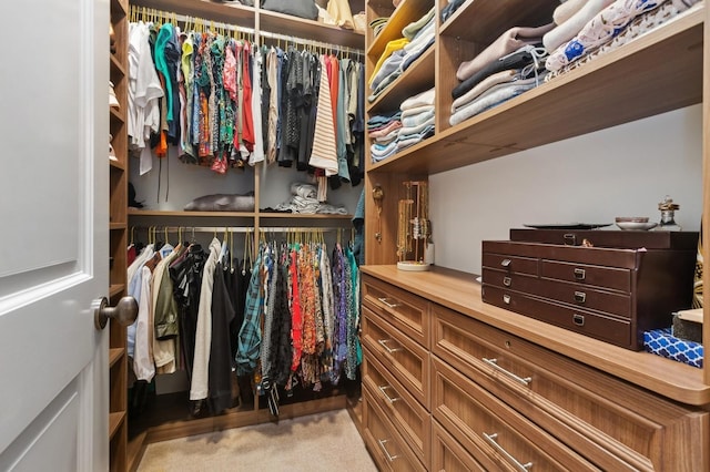 spacious closet with light carpet