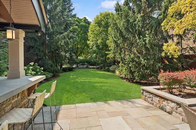 view of yard featuring a patio