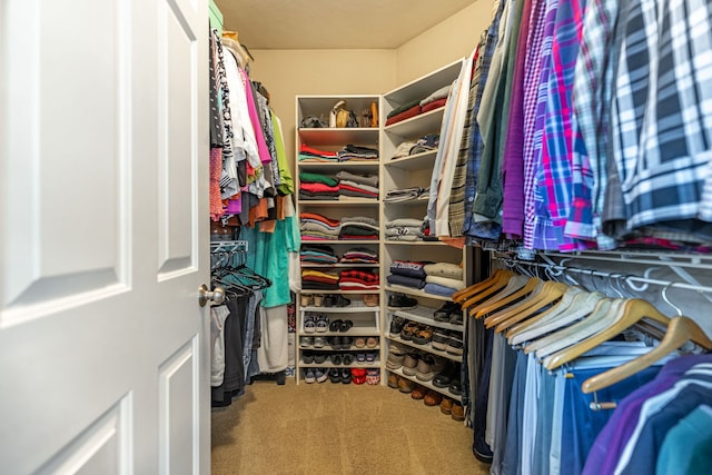 walk in closet featuring carpet flooring