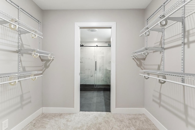 spacious closet featuring carpet flooring