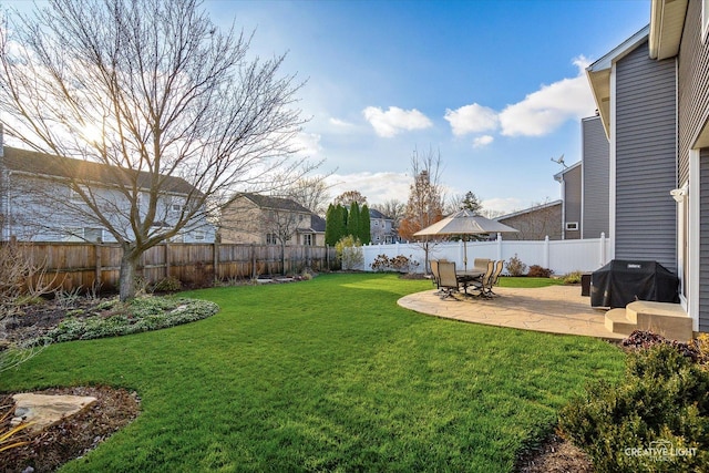 view of yard featuring a patio area and a fenced backyard