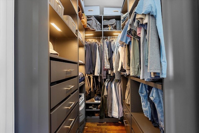 walk in closet featuring dark wood-type flooring