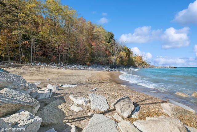 water view featuring a beach view