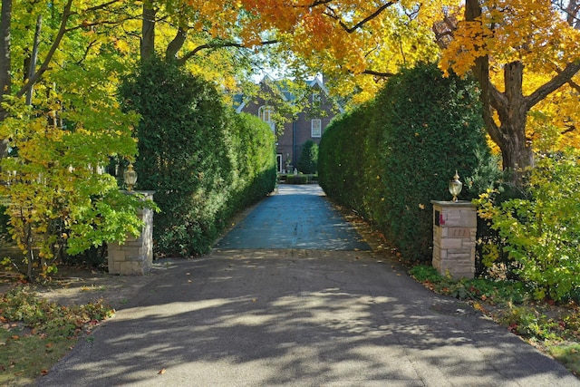view of road featuring driveway