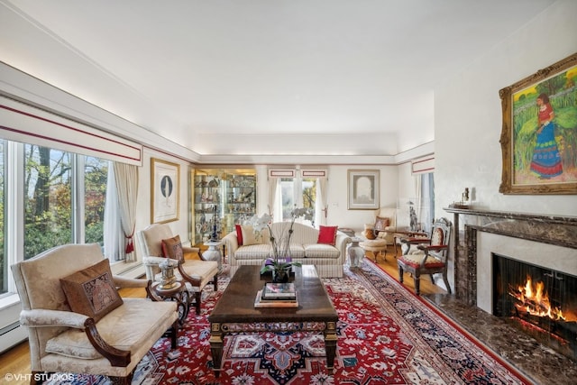 living area with a tray ceiling, plenty of natural light, wood finished floors, and a fireplace