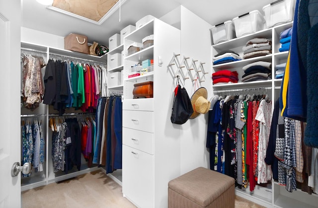 walk in closet with carpet flooring