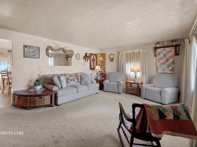 living area featuring carpet flooring