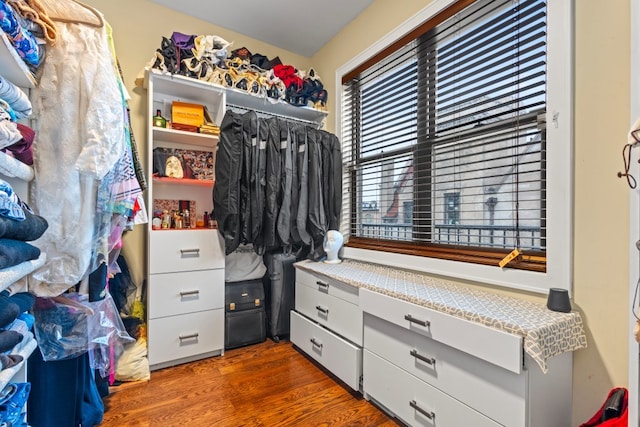 spacious closet featuring dark wood finished floors