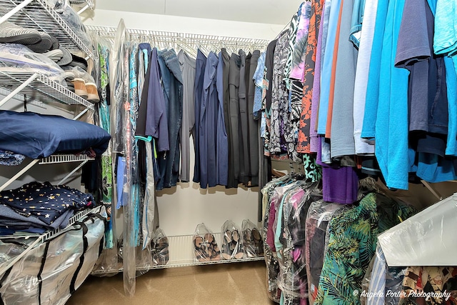 spacious closet with carpet