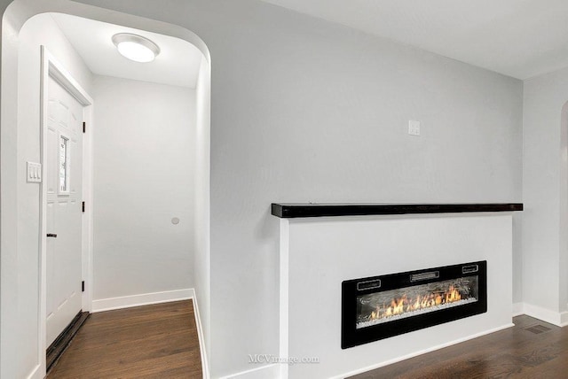 details featuring a glass covered fireplace, wood finished floors, and baseboards