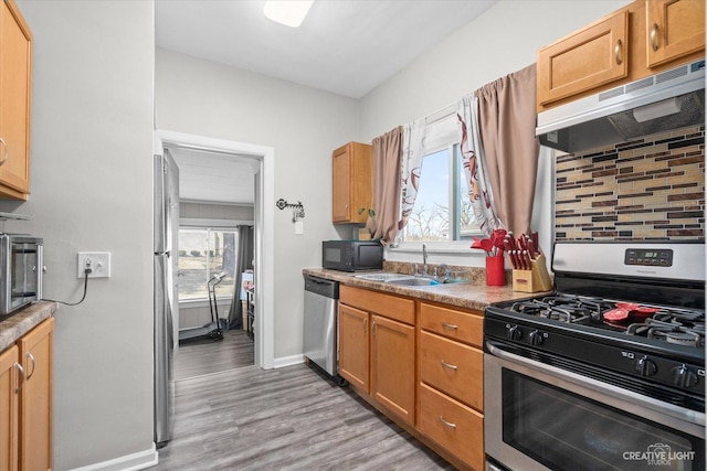 kitchen with backsplash, baseboards, light wood-style flooring, appliances with stainless steel finishes, and a sink