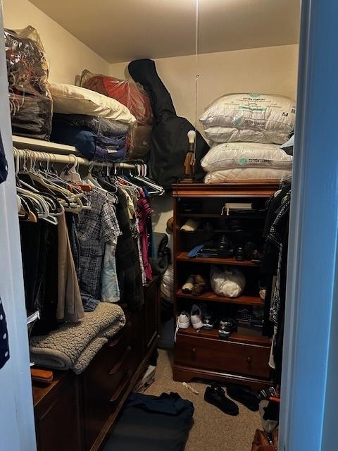 115 N Lavergne Ave, Northlake, IL 60164 - walk in closet with carpet floors