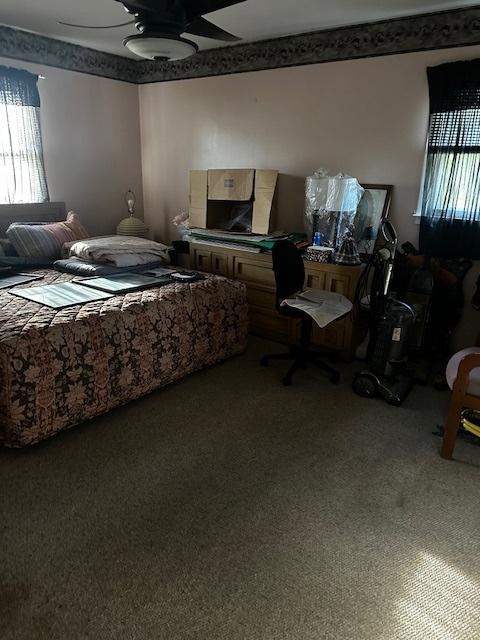 115 N Lavergne Ave, Northlake, IL 60164 - bedroom with carpet floors and a ceiling fan