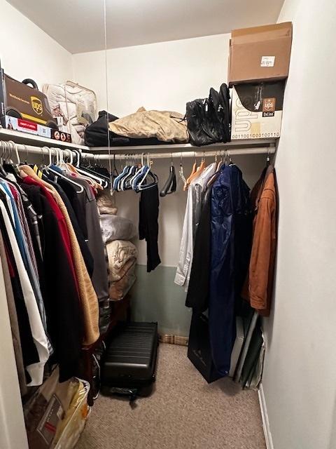 115 N Lavergne Ave, Northlake, IL 60164 - walk in closet with carpet