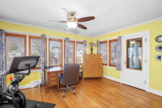 office space with crown molding, baseboards, light wood finished floors, and ceiling fan