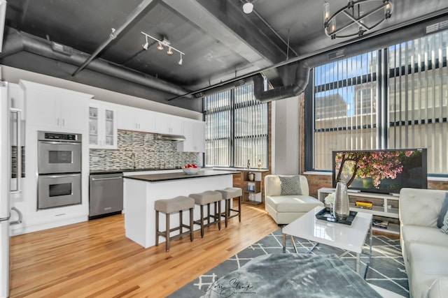 kitchen featuring light wood-type flooring, a healthy amount of sunlight, stainless steel appliances, and open floor plan