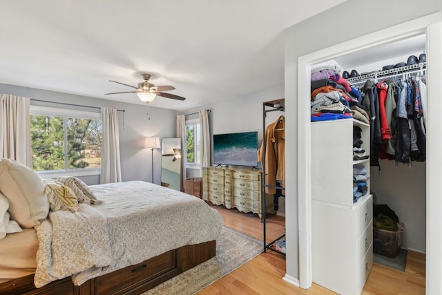 bedroom with a closet, a ceiling fan, a walk in closet, and light wood-style floors