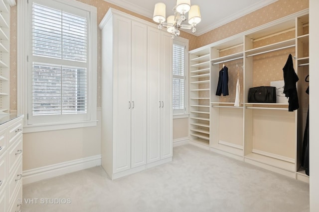 spacious closet featuring carpet flooring and a chandelier