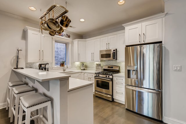 kitchen featuring a sink, a peninsula, crown molding, and stainless steel appliances