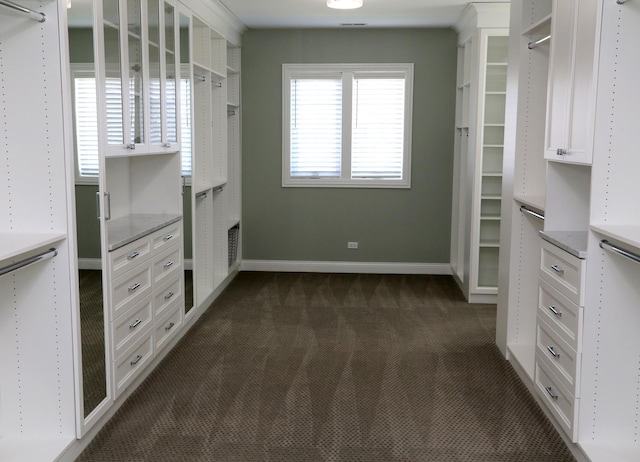 1860 Lake Charles Dr, Vernon Hills, IL 60061 - walk in closet featuring dark carpet