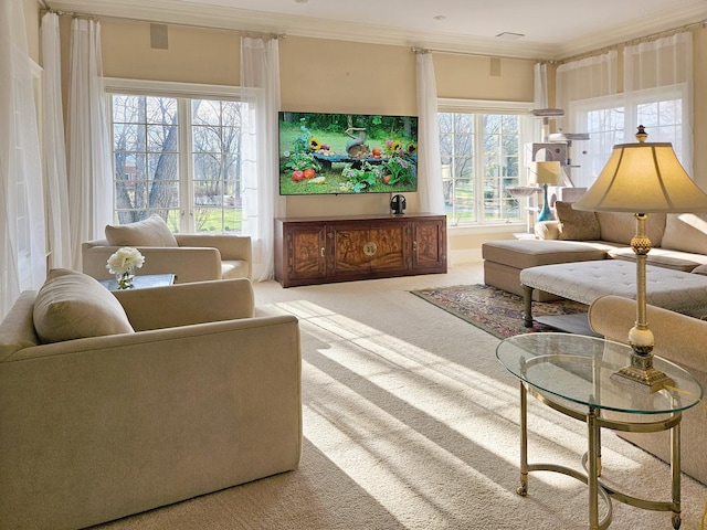 living area featuring crown molding and carpet