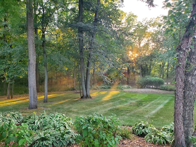 view of grassy yard