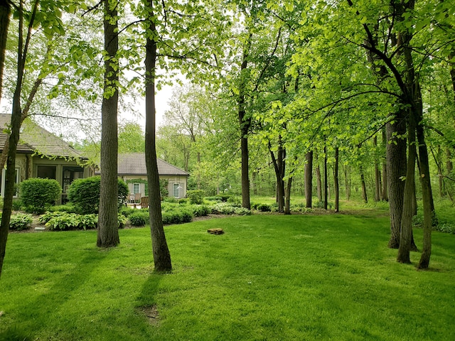 view of green lawn