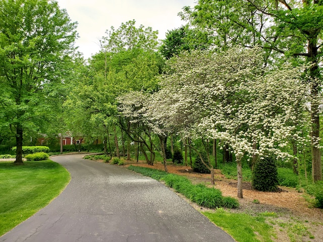 view of home's community with driveway