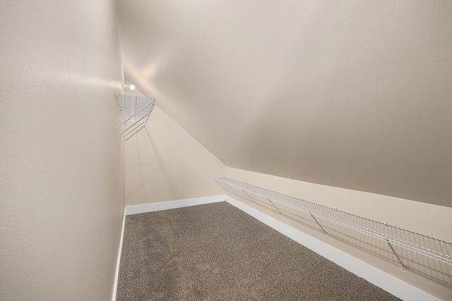 walk in closet featuring carpet floors and lofted ceiling