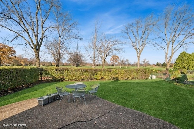 view of yard with a patio area