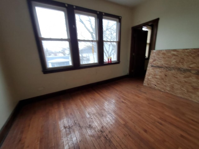 spare room with wood-type flooring