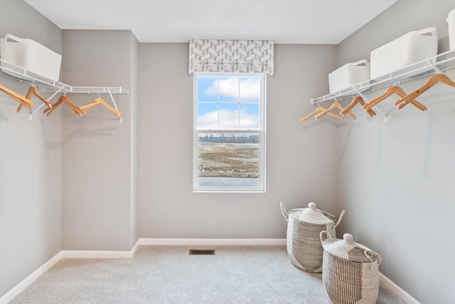 spacious closet featuring carpet and visible vents