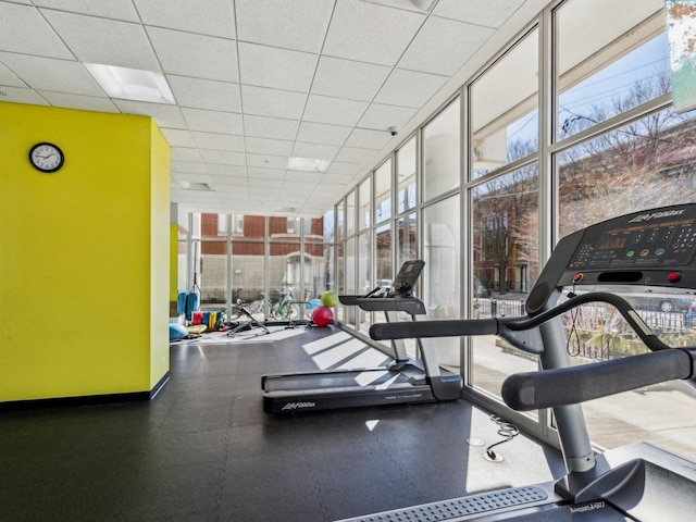 workout area with a wall of windows and a paneled ceiling