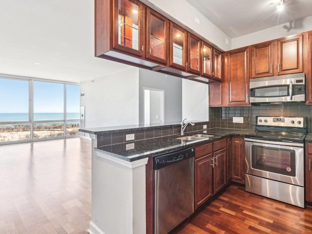 kitchen featuring a peninsula, floor to ceiling windows, a sink, appliances with stainless steel finishes, and decorative backsplash