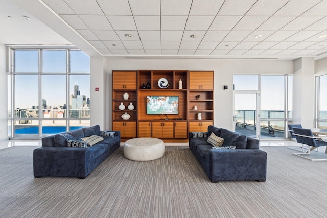 living area with carpet floors