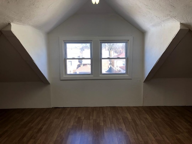 additional living space with lofted ceiling and wood finished floors